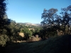 IMG_20240817_182232_654.jpg