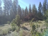 IMG_20220814_092634090.jpg
