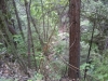 IMG_20220604_093305913.jpg