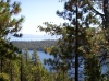 Lake through trees.jpg