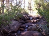 Cascade Creek 1.jpg