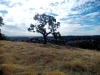 IMG_20241117_121652_654.jpg