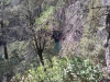 IMG_20220308_140539431.jpg
