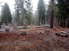 IMG_20251214_095404_530.jpg