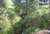 DSCI0983.jpg