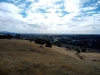 IMG_20241117_121944_874.jpg