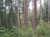 IMG_20220604_090858401.jpg