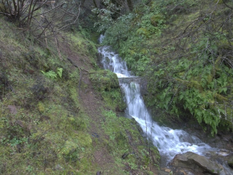old flume trail old flume trail